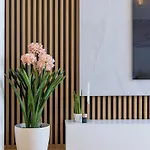 Διαμέρισμα Luxury 2br - Old Town Center *